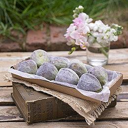 《光环：无限》模式太少？ 离线可玩更多模式